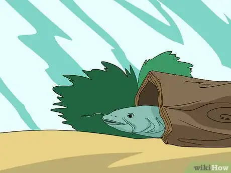 Image titled Set Up a Simple In Tank Refugium Step 7