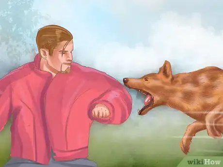 Image titled Buy a Personal Protection Dog Step 9