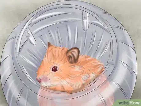 Image titled Create a Bond With Your Hamster Step 10