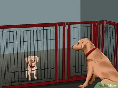 Image titled Introduce a Puppy to a Dog Step 13