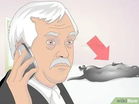 Image titled Perform CPR on a Dog Step 1