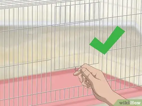 Image titled House a Canary Step 4