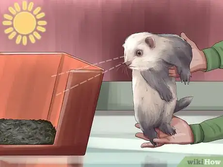 Image titled Train a Ferret Step 2
