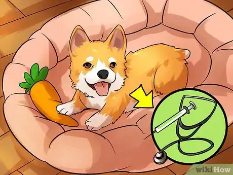 Image titled Adopt a Purebred Dog Step 12