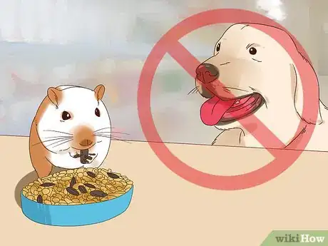 Image titled Keep a Gerbil Safe Around Other Pets Step 10