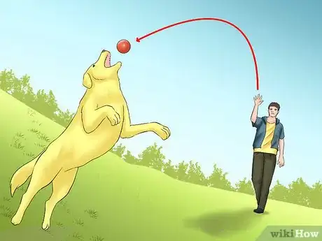 Image titled Train Teenager Stage Dogs Step 13