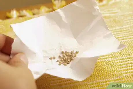 Image titled Save Tomato Seeds for Next Year Step 17Bullet1