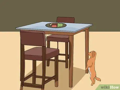 Image titled Keep a Dog from Sneaking Human Food Step 4