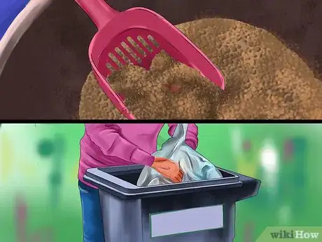 Image titled Give Ronidazole to Cats with Trichomoniasis Step 2