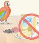 Stop a Macaw from Feather Picking or Chewing