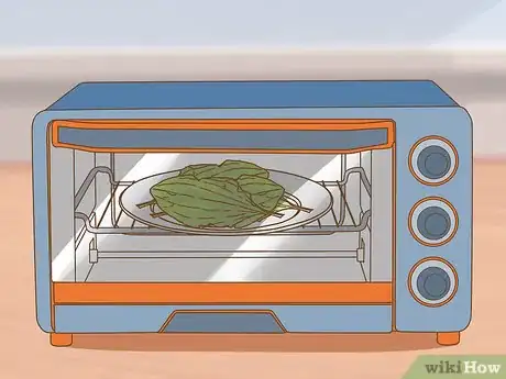 Image titled Harvest Plantain Leaves Step 9