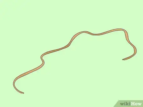 Image titled Make Stim Toys Step 2