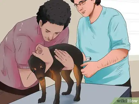 Image titled Check a Dog for a Fever Step 2