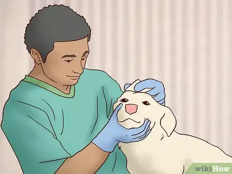 Image titled Choose the Right Dog for Your Family Step 15