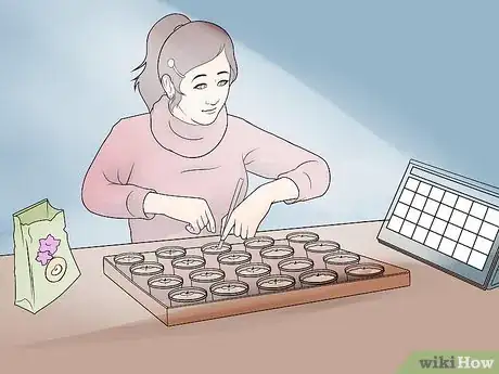 Image titled Grow Petunias Step 11