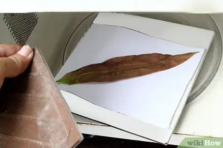 Image titled Press Leaves Step 14