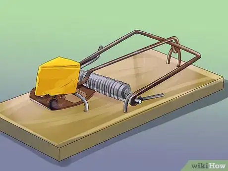 Image titled Deal with Rats Step 2