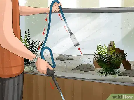 Image titled Buy a Fish for a Child Step 17