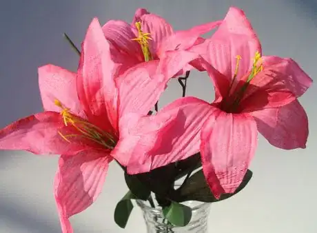 Image titled Lilies pink glass vase