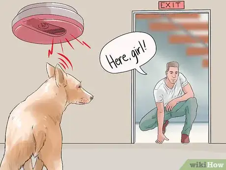 Image titled Fire Drill Train Your Dog Step 3