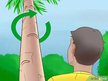 Image titled Climb a Tree With No Branches Step 1