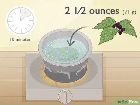 Image titled Use Medicinal Plants for Good Health Step 7