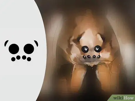 Image titled Identify a Wolf Spider Step 2