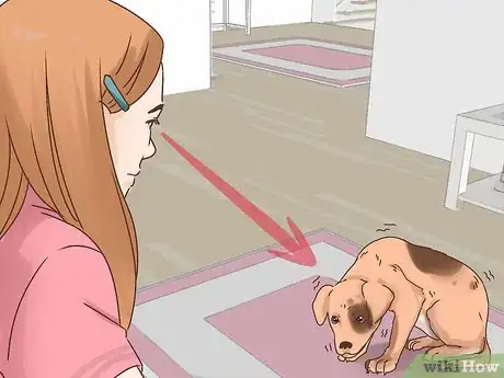 Image titled Know if Your Older Dog Suffers from Separation Anxiety Step 1