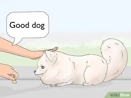 Image titled Teach a Dog to Bow Step 9