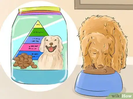 Image titled Help Your Dog Live Longer Step 5