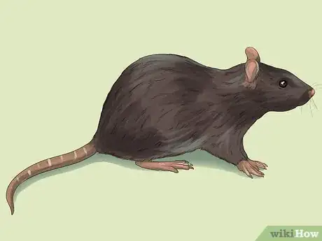 Image titled Use a Backyard Bird Feeder Step 27