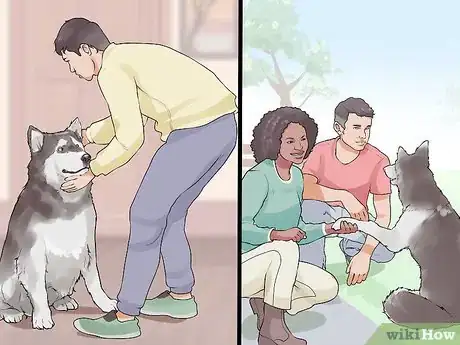 Image titled Introduce Your New Dog to the Neighbors Step 1