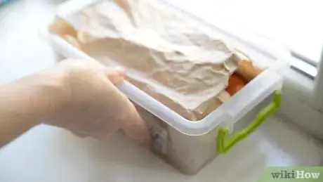 Image titled Store Tomatoes (Long Term) Step 5