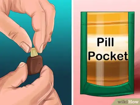 Image titled Give Supplemental Enzymes to a Cat Step 6