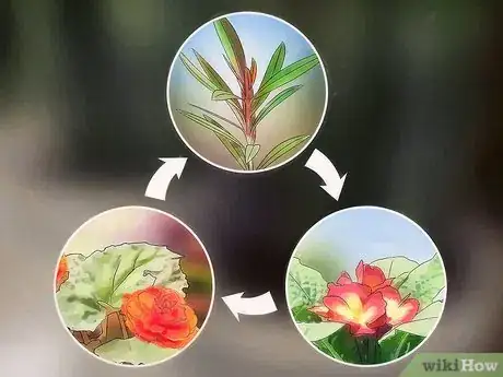 Image titled Clean a Planter Step 16