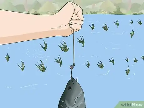 Image titled Fish a Shaky Head Step 16