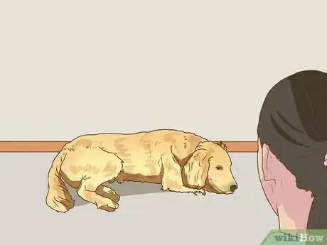 Image titled Help a Pet Grieve Step 5