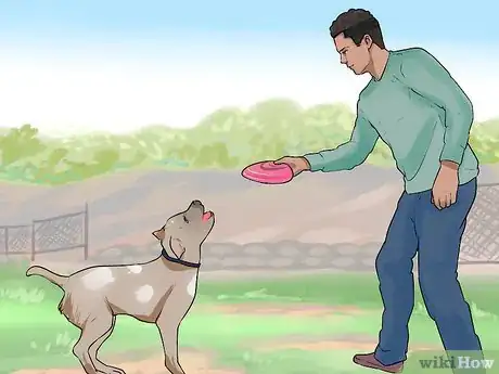 Image titled Treat Pica in Older Dogs Step 3