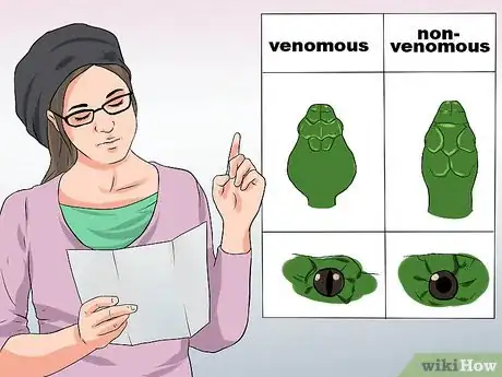 Image titled Look After a Venomous Snake Step 3