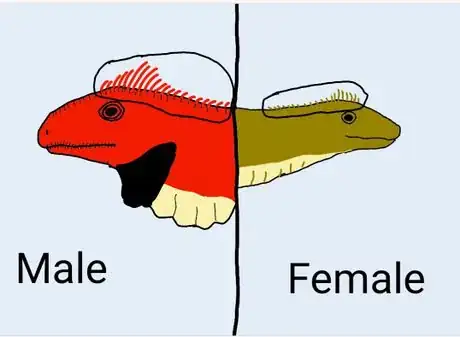 Image titled centerLicense: Creative Commons