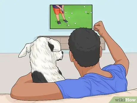 Image titled Hang Out with Your Dog Step 8