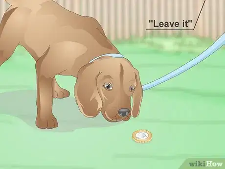 Image titled Teach a Dog to Leave It Step 16