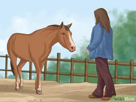 Image titled Get More Confident Around Horses Step 2