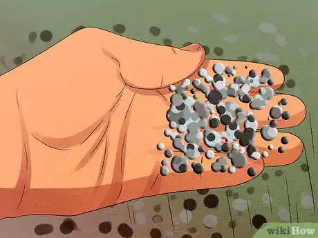 Image titled Keep Saltwater Fish Without Doing Water Changes Step 13