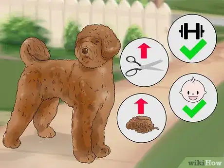 Image titled Choose an Active Dog Step 14