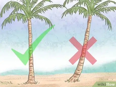 Image titled Free Climb a Tree Step 14