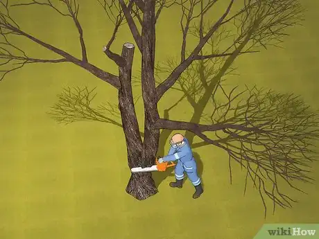 Image titled Protect Trees During Construction Step 9