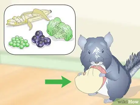 Image titled Help Your Chinchilla Adjust to its New Home Step 11