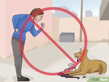 Image titled Treat Pica in Older Dogs Step 5