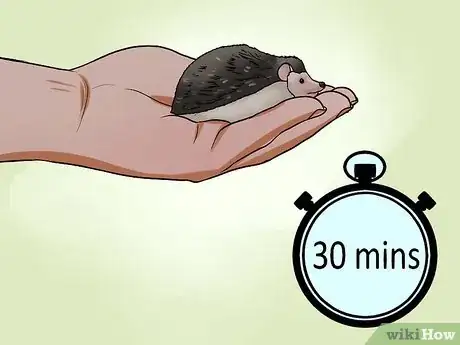 Image titled Help Your Hedgehog Get Used to Handling Step 9